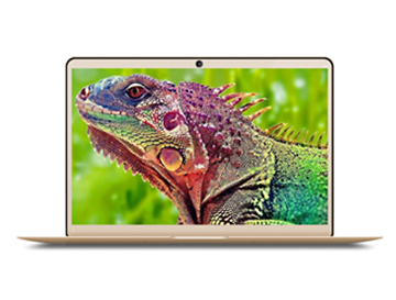 13.3inch Metal Ultrabook